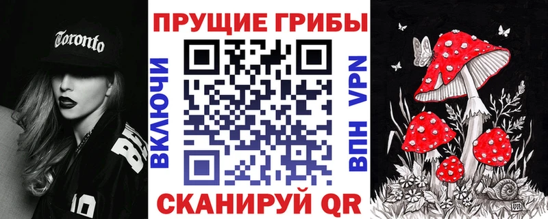 Псилоцибиновые грибы мицелий  Холмск 